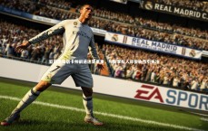 BT体育官网入口_亚冠出局后卡帅前途迷雾重重，与新掌舵人郑智协作引关注